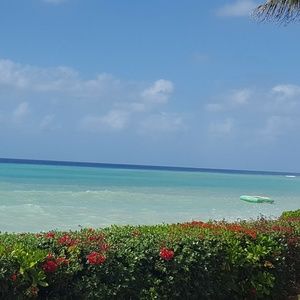 Meet your Posher, Luke